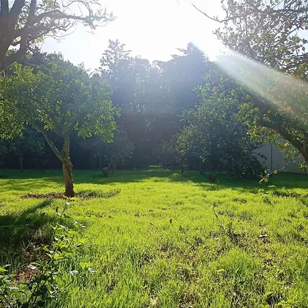 Casa Con Piscina Privada Y Barbacoa En Chiclana Capacidad Hasta 10 Personas Σπίτι διακοπών
