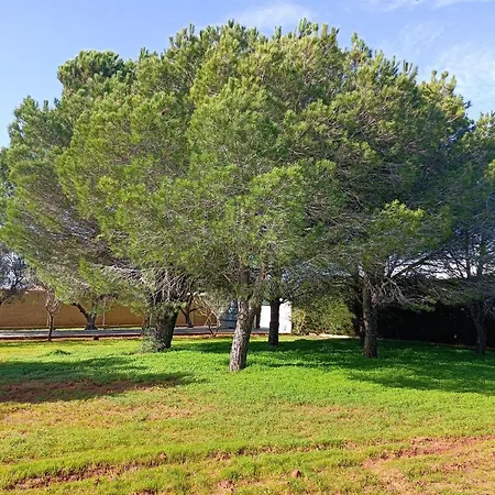 Casa Con Piscina Privada Y Barbacoa En Chiclana Capacidad Hasta 10 Personas * Chiclana de la Frontera