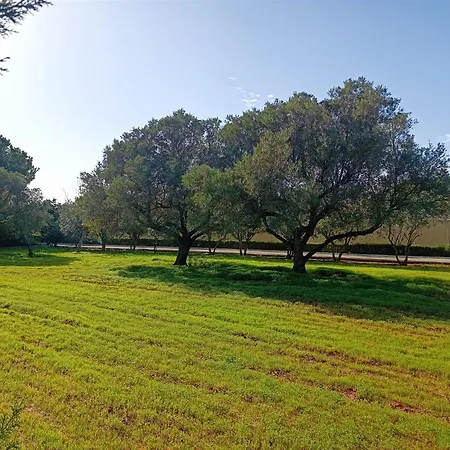 Casa Con Piscina Privada Y Barbacoa En Chiclana Capacidad Hasta 10 Personas Holiday home
