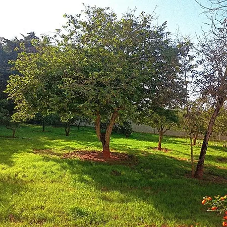 Casa Con Piscina Privada Y Barbacoa En Chiclana Capacidad Hasta 10 Personas *